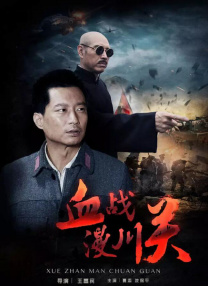 国产视频精品va久久久久久